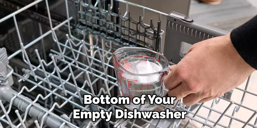 Bottom of Your Empty Dishwasher