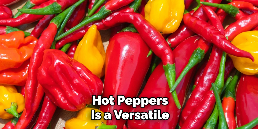 Hot Peppers
Is a Versatile 