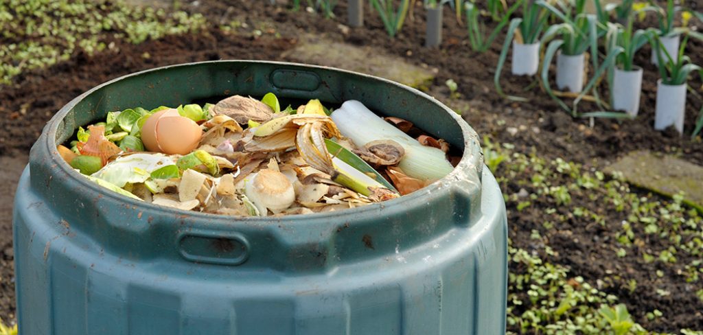 How to Use a Countertop Compost Bin