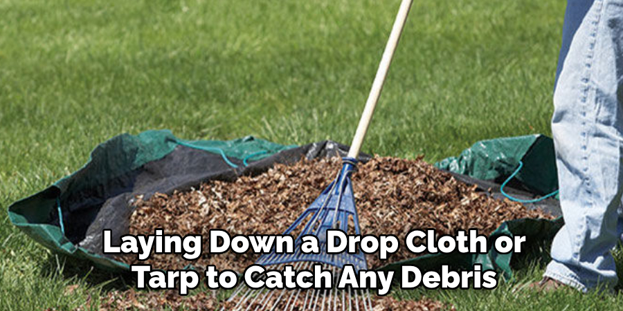 Laying Down a Drop Cloth or
Tarp to Catch Any Debris