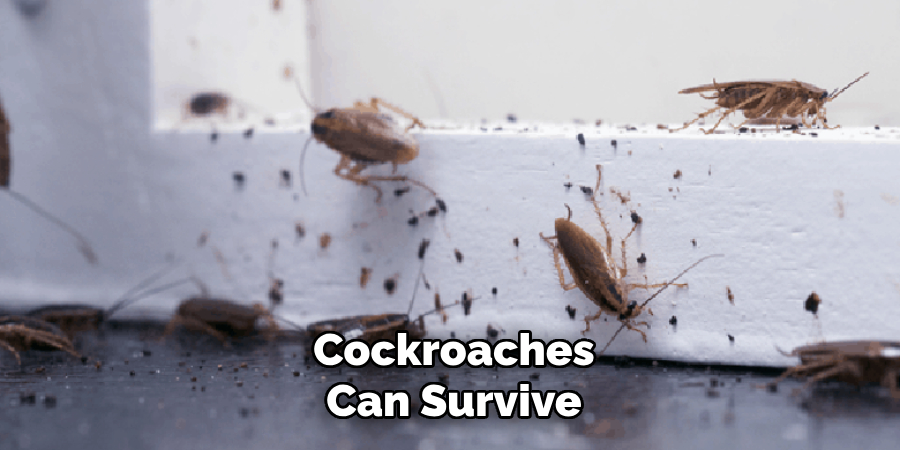 Cockroaches
Can Survive