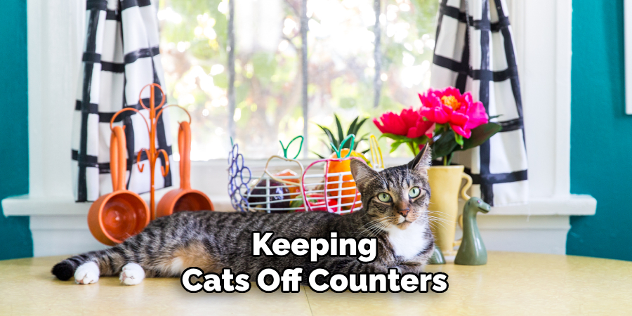 Keeping
Cats Off Counters