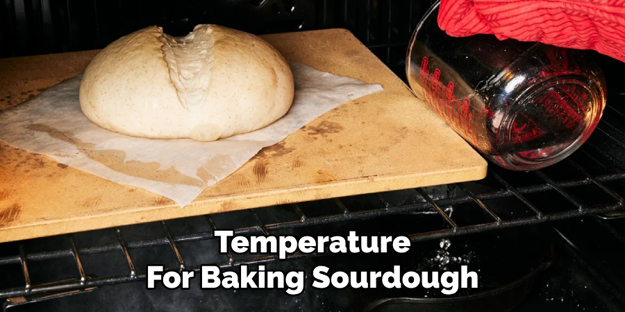 Temperature 
For Baking Sourdough